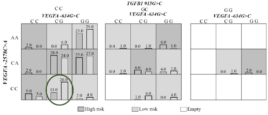 Figure 2. Distribution of high- and low-risk genotypes in the best three-locus model VEGFA (-634G&gt;C (rs2010963), -2578C&gt;A) (rs699947). High- (Dark shading) and low-risk (Light shading). The number of pregnancy loss subjects (Left black bar in boxes) and control subjects (Right black bar in boxes) is shown for each genotype combination. Significant low risk genotype is marked by the oval (p&lt;0.05)