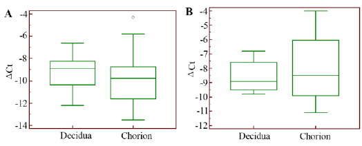 Figure 3. VEGFA gene expression level in the cells of chorionic and decidual tissues regarding GАPDH gene expression in normally progressing pregnancy (А) and pregnancy loss (B)