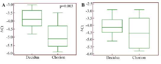 Figure 4. TGFВ1 gene expression level in the cells of chorionic and decidual tissues regarding GАPDH gene expression in normally progressing pregnancy (А) and pregnancy loss (B)