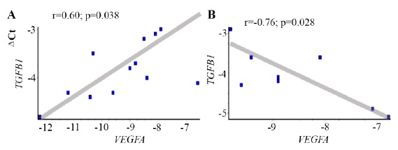Figure 5. The ratio of the VEGFA and TGFB1 genes expression level (∆Ct) in the cells of chorionic and decidual tissues regarding GАPDH gene expression in normally progressing pregnancy (А) and pregnancy loss (B)