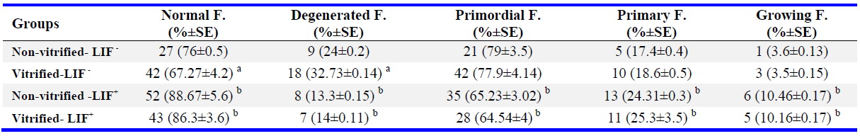 Table 2. The number and percentage of normal follicles at different developmental stages in all experimental groups
All experiments were done at least in 5 repeats and n=5 in each group. a: Significant differences with the same non-vitrified groups (p&lt;0.05)
b: Significant differences with the same non-LIF treated-cultured groups (p&lt;0.05)