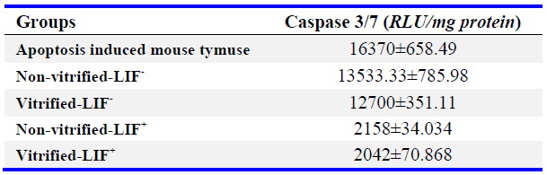 Table 4. Caspase 3/7 activity in studied groups (mean&plusmn;SE)
There was no significant difference between groups. All experiments were done at least in 3 repeats and n=3 in each group