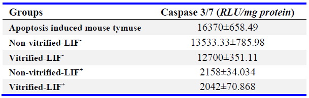 Table 4. Caspase 3/7 activity in studied groups (mean&plusmn;SE)
There was no significant difference between groups. All experiments were done at least in 3 repeats and n=3 in each group