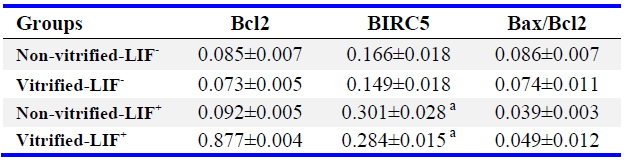 Table 6. The expression of anti-apoptotic genes expression to housekeeping gene (GAPDH) in studied groups (Mean&plusmn;SE)
a: Significant difference with non-LIF-treated group in respected group (p&lt;0.05). All experiments were done at least in 3 repeats and n=3 in each group