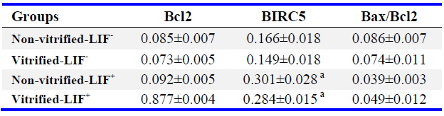 Table 6. The expression of anti-apoptotic genes expression to housekeeping gene (GAPDH) in studied groups (Mean&plusmn;SE)
a: Significant difference with non-LIF-treated group in respected group (p&lt;0.05). All experiments were done at least in 3 repeats and n=3 in each group