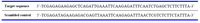 Table 1. Oligonucleotide sequences used for HLA-G RNAi