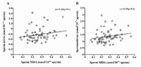 Figure 3. The relationship between sperm MDA and sperm nitrite, A) and nitrate concentrations, B) in male smokers