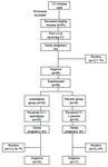 Figure 1. Flow diagram showing study course