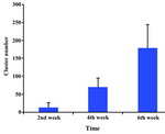 Figure 1. Gene expression of zygote arrest 1 (Zar 1) in ovine zygotes produced in different culture conditions. a.b) Columns with different superscript differ significantly (p<0.01)