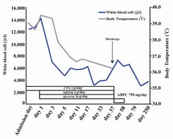 Figure 1. Course of treatment. Body temperature slowed down after the day 7