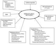 Figure 1. Major causative factors of sperm DNA fragmentation 