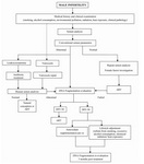 Figure 2. Algorithm presenting the diagnostic-therapeutic evaluation of male infertility related to sperm DNA fragmentation