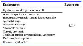 Table 1. Molecular aetiological mechanisms of sperm DNA fragmentation