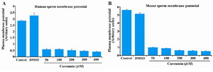 Figure 3. Effect of curcumin on plasma membrane potential in human (panel A) and mouse (panel B) sperm. Fluorescence intensity values (Mean±SE) from 3-5 independent experiments using sperm from 3-5 different men and mice are shown. Fluorescence intensity values lower than the control indicate hyperpolarization. There was no effect of any concentration of curcumin tested per se on fluorescence intensity without sperm.