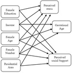 Figure1. Theoretical path model for investigating the effects of structural and intermediary determinants of health on gestational age