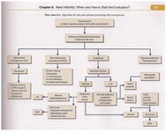 Figure 1. An example of the fl¬ow charts in the book entitled: Medical and Surgical Management of Male Infertility (used by permission of Jaypee Brothers Medical Publishing)
