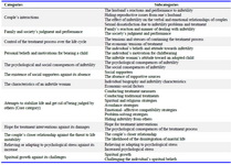 Table 2. Summary of categories and subcategories