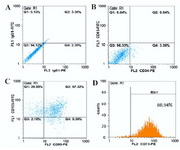 Figure 2. Characteristics of human amniotic mesenchymal stem cells (HAMSCs) by flow-cytometric analysis of sur-face-markers expression. The cells after passage 3 were la-beled with PE or FITC-conjugated antibodies. A) The expression of IgG1-FITC as control marker, B) The negative expression of CD45 and CD34, and positive expression of C) CD105 and CD90, and D) CD73