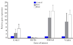 Figure 3. Changes in the expression of primordial germ cell (PGC) -specific markers in the human amniotic membrane mesenchymal stem cells (HAMSCs) after 14 days of treatment with 1 and 2 &mu;M retinoic acid in comparison with control group. Values are shown as mean &plusmn;SD; n=3
&nbsp;