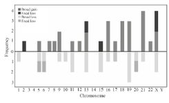 Figure 1. The frequency of broad and/or focal gain and/or loss of DNA in each chromosome. Chromosomes 3, 4, 14 and Y did not show a gain or loss of DNA, chromosomes 2, 7, 8, 12, 18 and X only showed a gain in the genetic material, and chromosomes 1, 10 and 20 showed broad and/or fo-cal loss of genetic material. The other chromosomes showed broad and/or focal gains and losses
