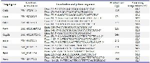 Table 1. Target and reference genes selected for qRT-PCR analysis of oocytes