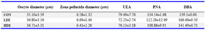 Table 3. The effects of Anethum graveolens (dill) seed aqueous extract on oocyte and zona pellucida diameter and oocytes reaction with UEA, PNA and DBA lectins of different groups 

Control group (CON), low dose of dill aqueous extract-treated group (LDE) and high dose of dill aqueous extract-treated group (HDE)
Lectin reaction expressed as intensity reaction (pixels)
Data showed as Mean±SD
