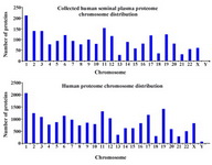 Figure 5. Chromosome distribution of the human seminal plasma versus the theoretical human proteome