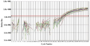 Figure 2. Amplification plot of RT-QPCR.