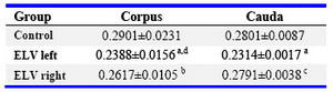 Table 3.  The analytical results of corrected gray value of SPAG11E by immunohistochemical staining in the epididymis of the ELV rats (Mean±SD)

Vs. corresponding control group in ELV group, a: p0.05, vs. right side in ELV group, d: p>0.05