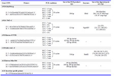 Table 1. Details of primers, PCR conditions and restriction digestion used for genotyping eNOS, CYP11B2 and ACE gene polymorphisms