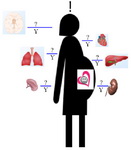 Figure 1. A pregnancy obligated present: What did the sons leave behind?