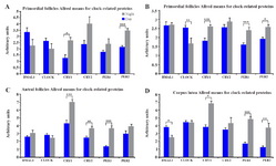 Figure 1. Mean Allred positivity scores for each respective clock related proteins. The four follicle stages all display a clock where the positive clock-proteins (BMAL1 and CLOCK) presented greater scores in day sections. Conversely, the four negative clock-related proteins were upregulated in night sections. A: Positivity of clock-related proteins expressed in primordial follicles. Only CRY1 displayed a statistically significant difference across the time. B: Positivity of clock-related proteins expressed in primary follicles. C: Positivity of clock-related proteins expressed in antral follicles. D: Positivity of clock-related proteins expressed in corpus lutea. All scores are mean Allred scores&plusmn;S.E.M. Mann-Whitney statistics was performed on Allred data.
*p&lt;0.05, **p&lt;0.01, ***p&lt;0.0001