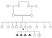 Figure 1. The family pedigree