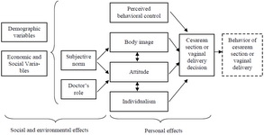 Figure 1. Conceptual model