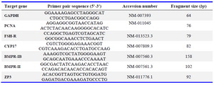 Table 1. The characteristic of primers used for real-time RT-PCR assays
