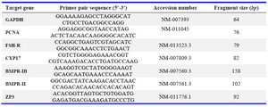 Table 1. The characteristic of primers used for real-time RT-PCR assays
