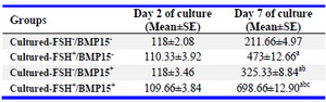 Table 4. The level of progesterone (ng/ml) in collected media during culture period
a: Significant differences with cultured-FSH-/BMP15- group in the same column (p&lt;0.05), b: Significant differences with cultured-FSH+/BMP15- group in the same column (p&lt;0.05), c: Significant differences with cultured-FSH-/BMP15+ group in the same column (p&lt;0.05)
