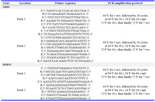 Table 1. Primers and protocols used for PCR amplification of GDF9 and BMP15