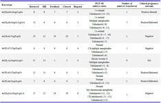 Supplementary Table 2. Detailed profile and the ploidy status of the embryos based on PGT-SR and their pregnancy outcome
