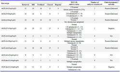 Contd. Supplementary Table 2. Detailed profile and the ploidy status of the embryos based on PGT-SR and their pregnancy outcome
