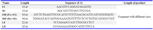 Table 1. Oligonucleotide primers used for LAMP assay