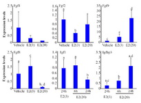 Figure 4. Expression of genes regulated by progesterone (P4) and estrogen (E2). Significant differences are indicated by different letters for the same molecule (average&plusmn;SD, a&ndash;b: p&lt;0.05, c&ndash;d: p&lt;0.01)