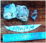 Figure 2. Cut surface showed a large yellow solid nodule
