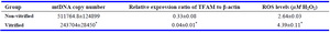 Table 2. The mtDNA copy number, the ratio of TFAM gene expression to &beta;-actin and the ROS level in non-vitrified and vitrified MII oocytes (M&plusmn;SEM)
* Significant difference with non-vitrified group (p&lt;0.001)
