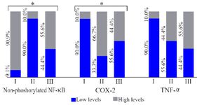 Figure 6. The comparison of the different proportions of the high and low levels of non-phosphorylated NF-&kappa;B, COX-2, and TNF-&alpha; in the supernatant of endometriosis tissue of homogenized rat.
I: sham-operated group; II: Surgically-induced endometriosis; III: Surgically-induced endometriosis+octyl gallate (20 mg octyl gallate dissolved in 1 ml Na-CMC, administered via oral gavage once a day for 30 days). The low category levels were &le;cut off point, while the high category levels were &gt;cut off point. The cut off point of non-phosphorylated NF-&kappa;B was 5.002 pg/mgP, COX-2 was 16.151 ng/mgP, and TNF-&alpha; was 75.888 pg/mgP (*p&lt;0.05)