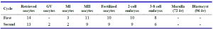 Table 1. Main outcomes of two ICSI cycles with a 3 year interval