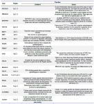 Table 3. Genes&rsquo; function related to spermatogenesis