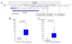 Figure 1. Genetic analysis of the FLT1 gene in pre-eclam-psia. A) Location of three variants. The horizontal arrow in-dicates the location of the FLT1 gene exons and its transcription direction. The vertical arrows indicate the location of the three variants. The extent of the TAD including the FLT1 gene is indicated by a large box. Small boxes indicate the enhancer regions. B) Correlation between FLT1 gene expression in the placentas from pre-eclamptic and normotensive pregnancies. C) Correlation between the sFlt-1 levels in sera from pre-eclamptic and normotensive pregnancies. The boxes indicate the 25th and 75th percentiles. The bands near the middle indicate the median values. The bars indicate the 1.5 interquartile ranges with the outliers specifically marked